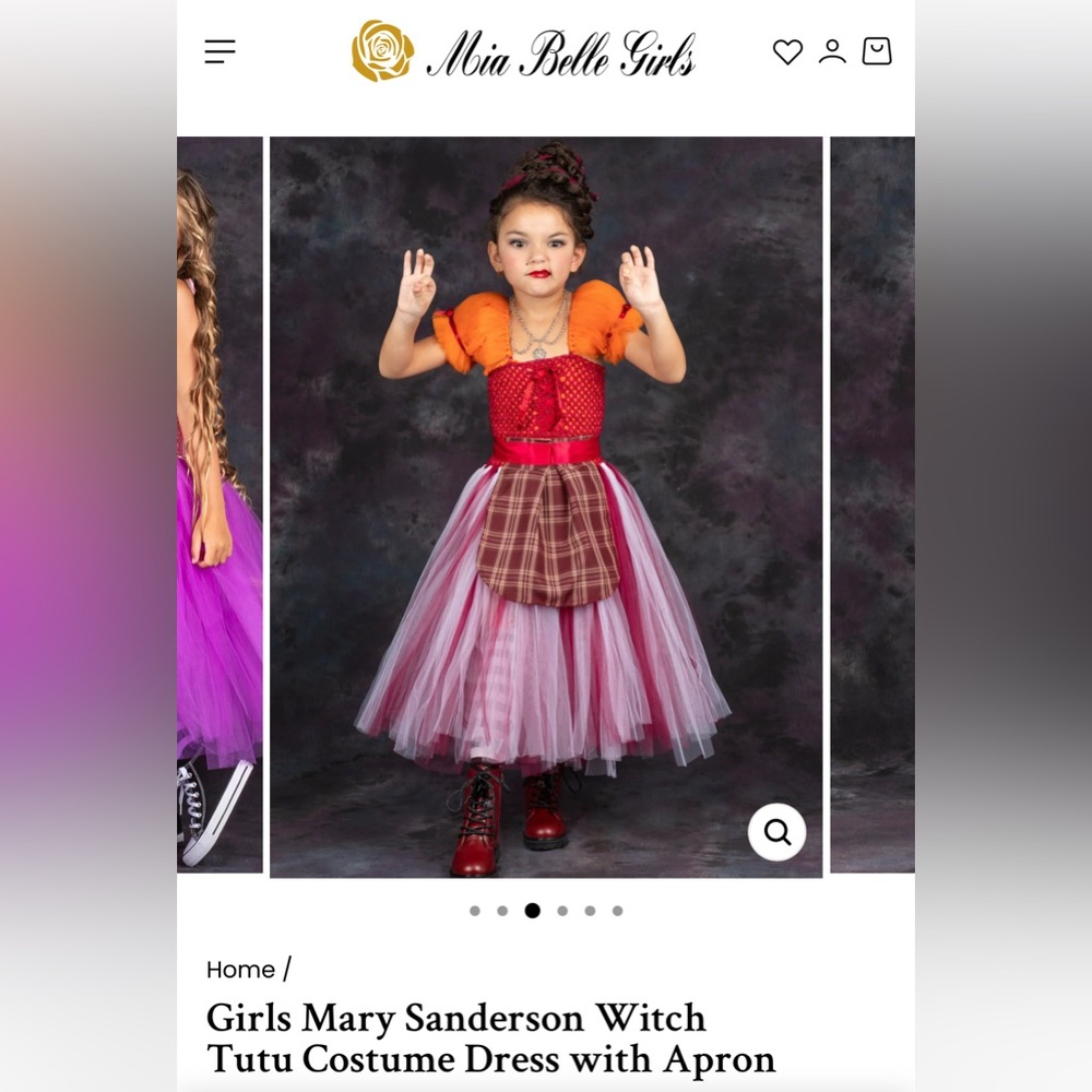 Mia Belle Mary Sanderson 2T Costume